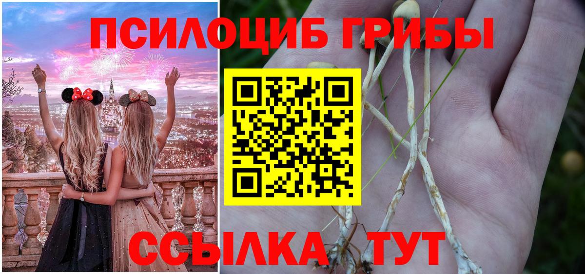 Псилоцибиновые грибы Magic Shrooms  Вход с VPN  Аргун 